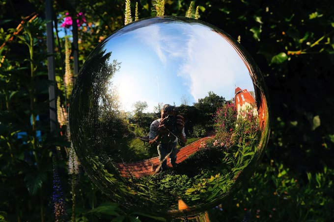 7 Ways to Get More Light Into Your Garden Climbers Way Tree Care